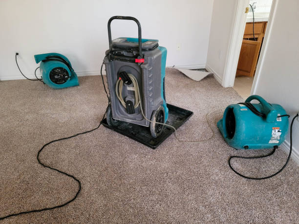 Best Mold removal after water damage  in Grantsburg, WI