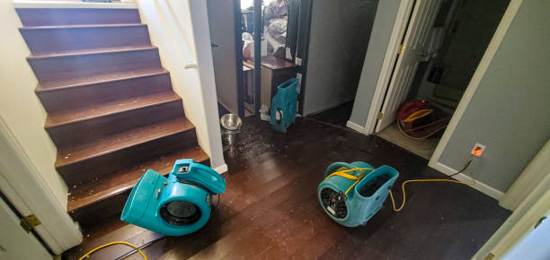 Best Basement water damage restoration  in Grantsburg, WI