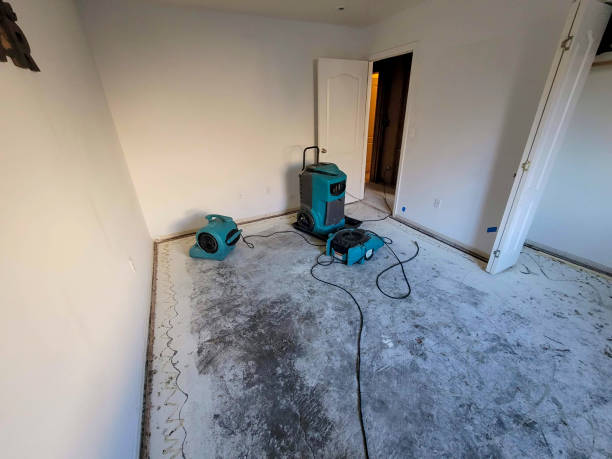 Water damage restoration mold remediation in WI