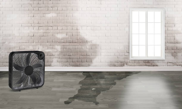 Best Flood damage cleanup  in Grantsburg, WI
