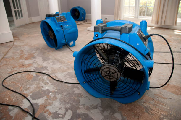 Best Professional water damage repair  in Grantsburg, WI