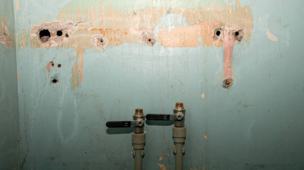 Best 24/7 water damage repair  in Grantsburg, WI