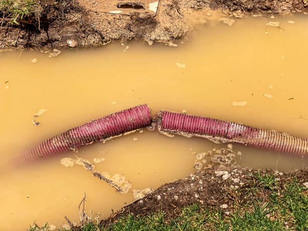 Best Flooded house restoration  in Grantsburg, WI