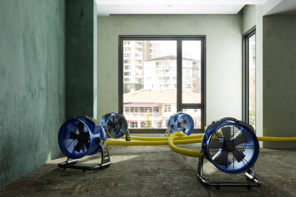 Best Water damage restoration near me  in Grantsburg, WI